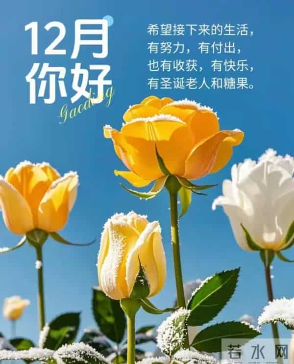 十二月你好 开启十二月 听雪落的声音等新年的烟火 十二月温馨问候语