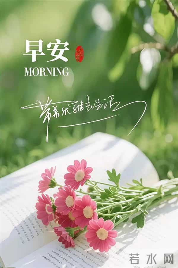 早上好早安祝福美图-浅冬生寒意，微光暖人心