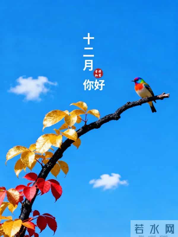 12月第一天，发条不一样的朋友圈，开启12月，吉祥如意，事事顺利