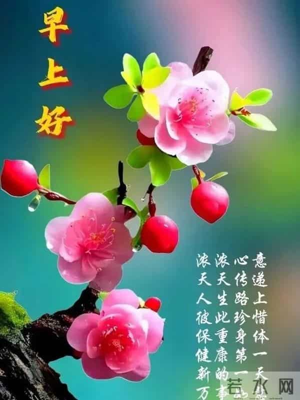 11月30日周日早上好 愿我们伴着不老的岁月 永远走在开心快乐的路上