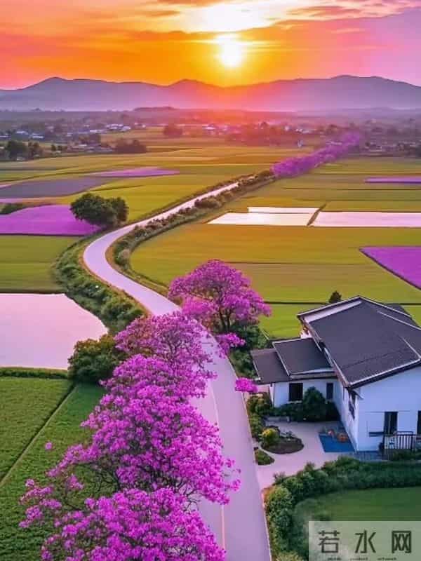 50后再婚，财产必须公证？过来人警告：爱情敌不过现实，别冒险！