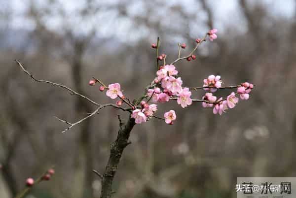 女人别冲动离婚：家在人在，别让一时意气毁了半生安稳