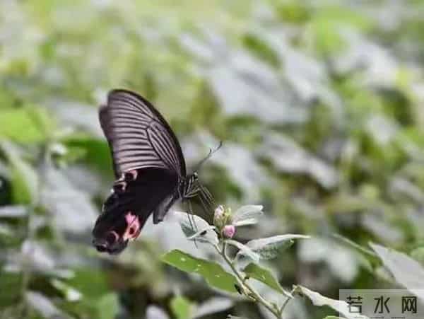 这段话抄下来，享用一生，永不过时，句句入心，直接抄了