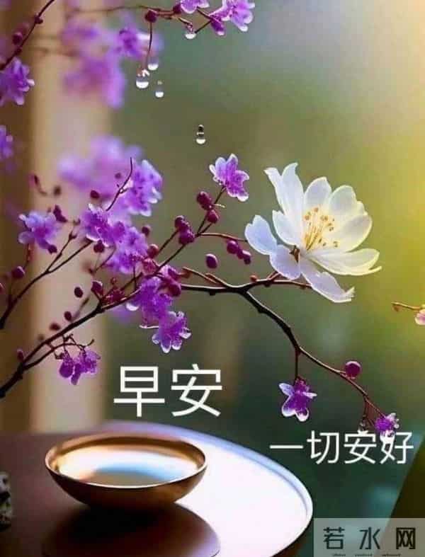 早安，愿今日皆安，万事顺意