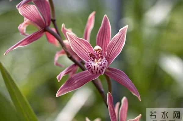 两性关系中，女人更在意什么