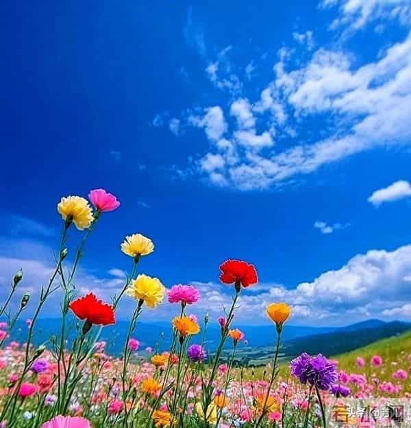 年过55才懂：兄弟姐妹翻脸后，这4种情况坚决不和解，早断早清净