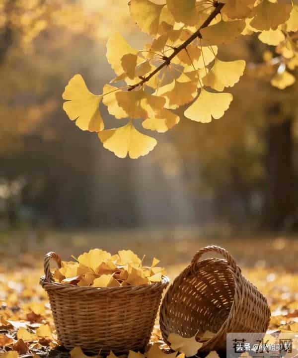 人到晚年终于明白：儿女再孝也靠不住，能依靠的只有这，两样东西