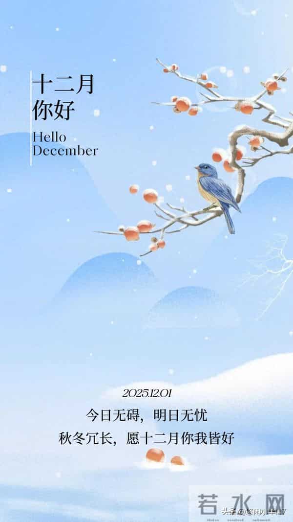 十一月就此别过，愿往后日子，风里带暖，慢慢走，稳稳爱～