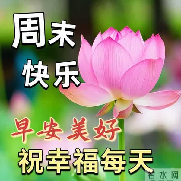 清晨寄语每日一句祝福，精辟早上好问候语，阳光灿烂，笑口常开