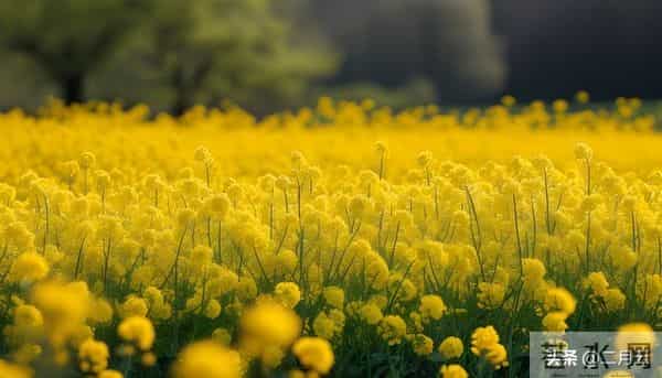 两性问题：异性朋友之间，一旦有三种联系，就是越界了，警惕！