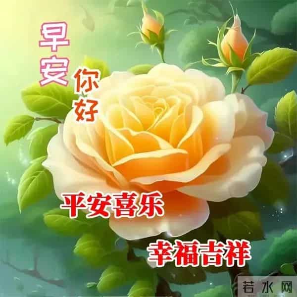 11月30日周日早上好 愿我们伴着不老的岁月 永远走在开心快乐的路上