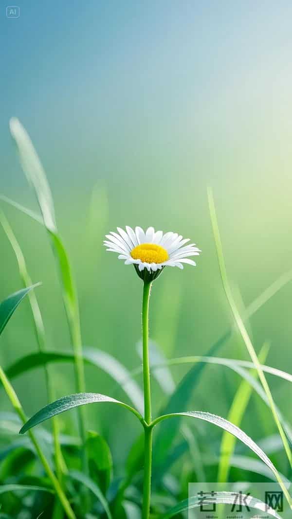 那年继母将我赶出家门，婶婶给我一碗饭，二十年后我给她养老送终