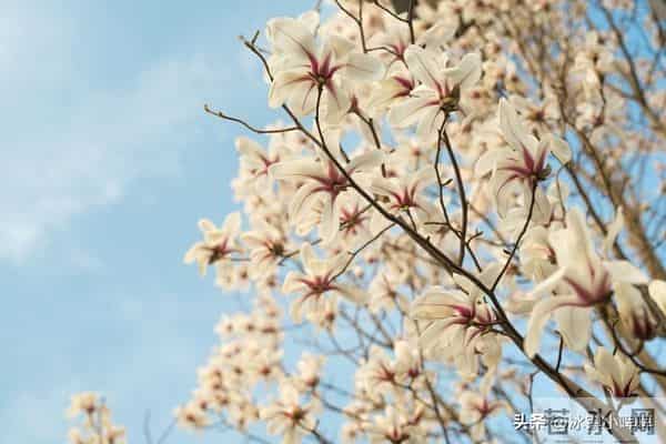 女人爱不爱你，看她会不会主动要钱，真的很准！