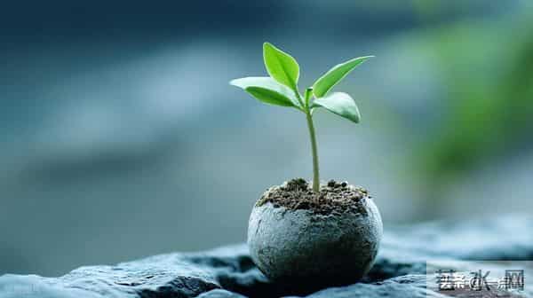 我回一趟老家知道，攒有100万的家庭里，大多有两种人，三种智慧