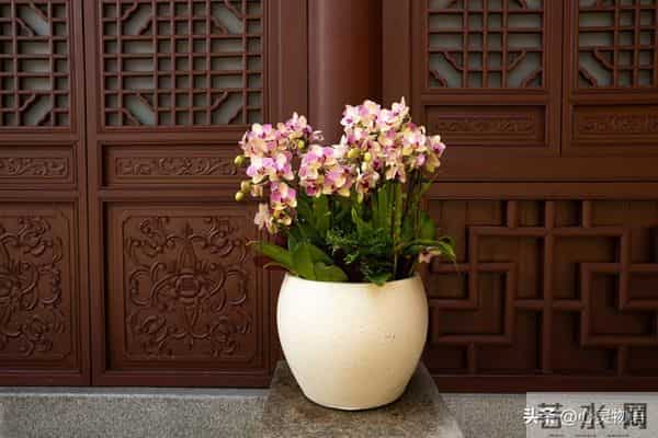 男人一碰女人这里，她就立马投降的两处“死穴”