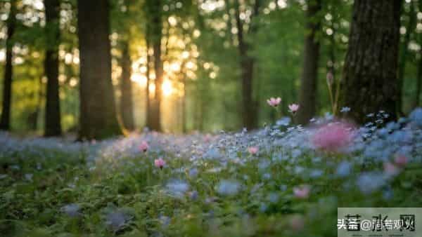 发现了没有，很多丧偶的女人，在外面从来不说！自己是已经丧偶的