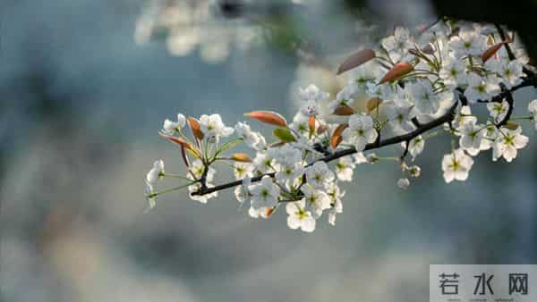 我哥借30万给侄子买房，我让他打借条签合约，母亲说我不孝没亲情