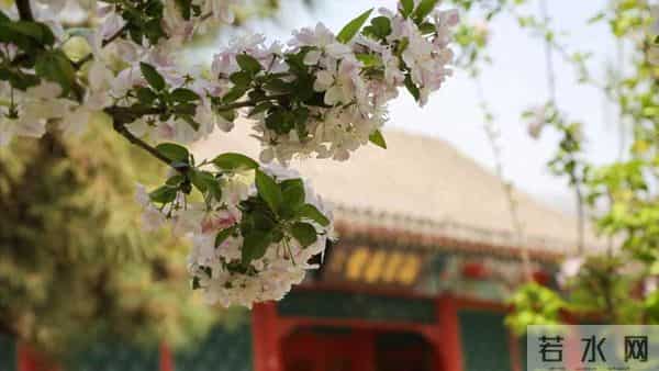 男人有7200退休金，跟搭伙女人AA养老，女人去打工男人却问谁做饭