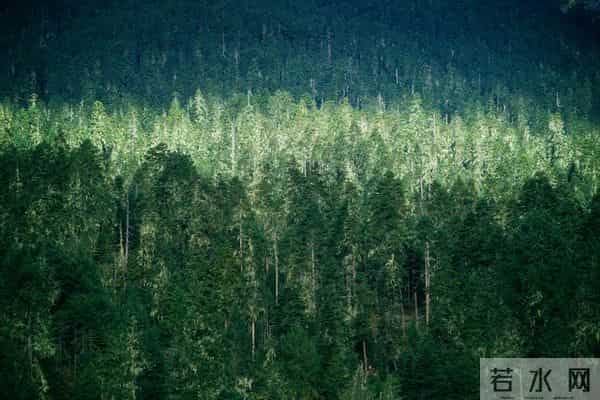 发现一个奇怪的现象：无论和谁打交道，适当的强势，你才会被尊重