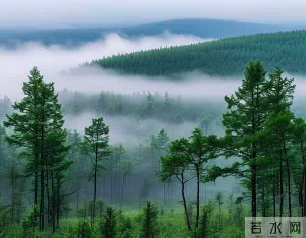 发现一个奇怪的现象：无论和谁打交道，适当的强势，你才会被尊重