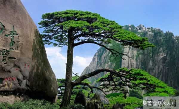 你别不信，大部分公公，都会趁儿子不在家的时候跟儿媳妇保持距离