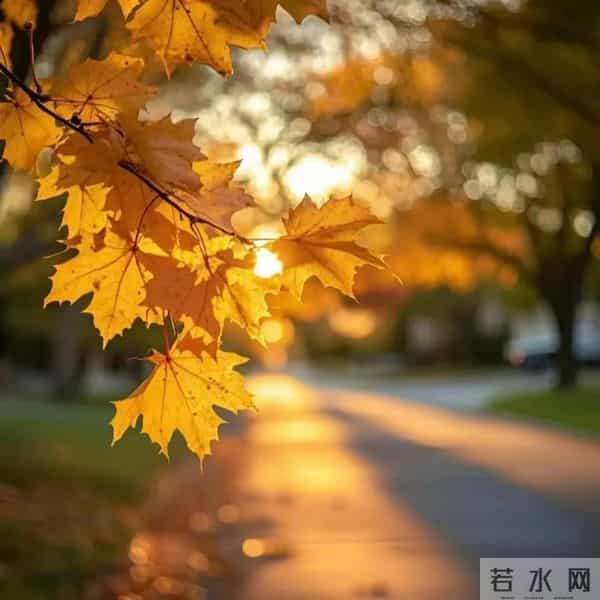 不要看不起任何人，你再有本事，别人不求你，你什么都不是。