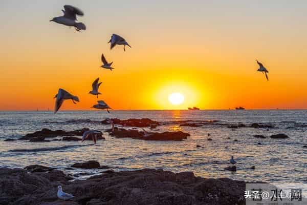 31页日光书—最是人间留不住，朱颜辞镜花辞树—再见11月你好12月