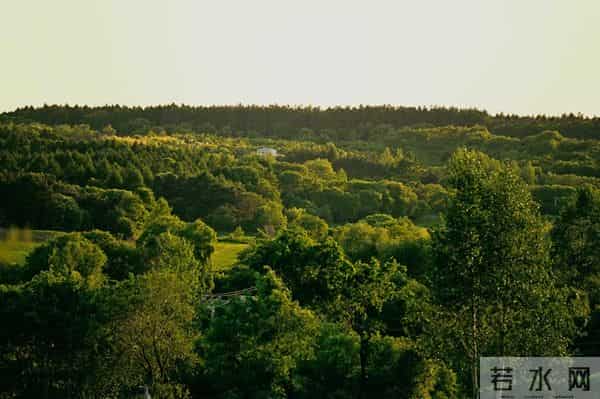 发现一个奇怪的现象：无论和谁打交道，适当的强势，你才会被尊重