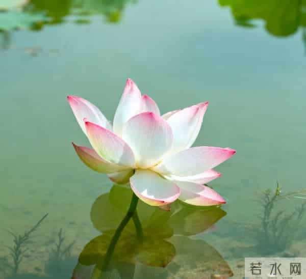 太灵了！你牵挂的事，很快就会传来喜报！