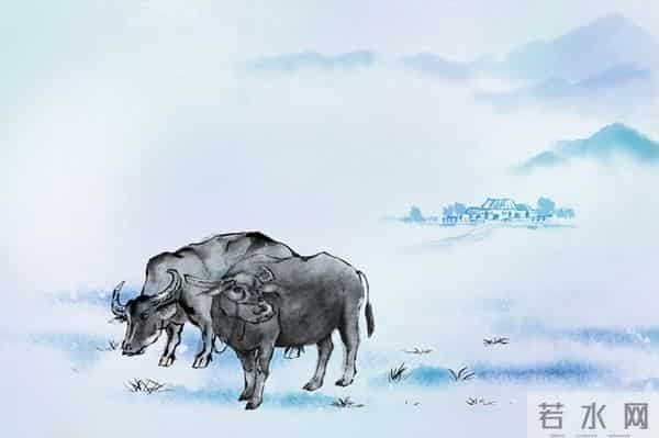 属牛人，泪洒十二月，一个曾经为你“赴汤蹈火”之人将悄然离开