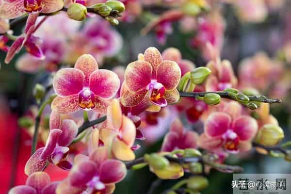 男人一碰女人这里，她就立马投降的两处“死穴”