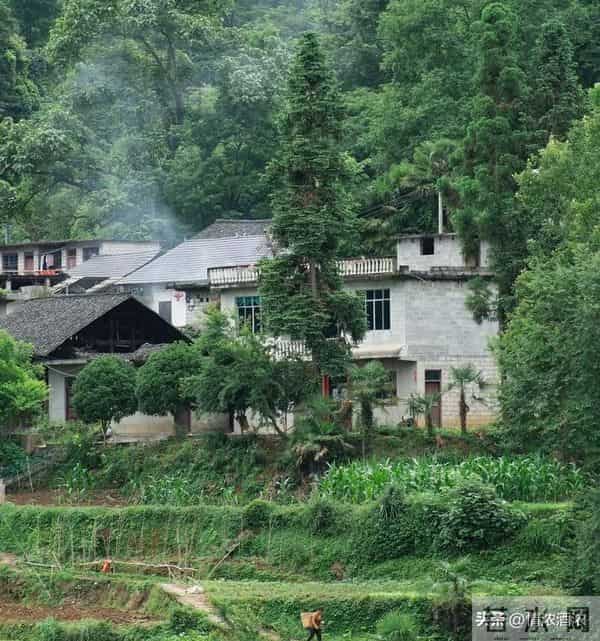 前夫突然离世，儿子打来电话，丈夫的反应让我泪目