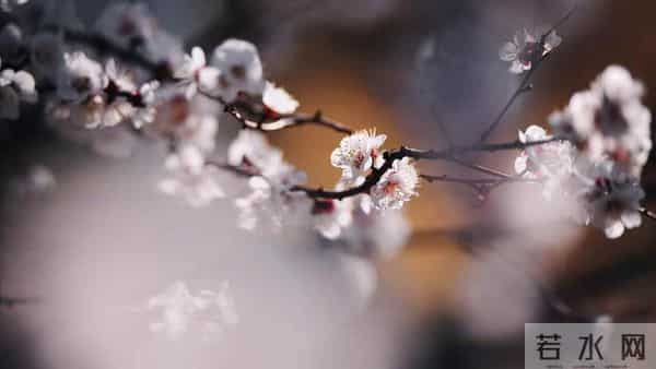 姑姐说我没把婆婆照顾好，退休亲自伺候婆婆，一周她说再也不管了
