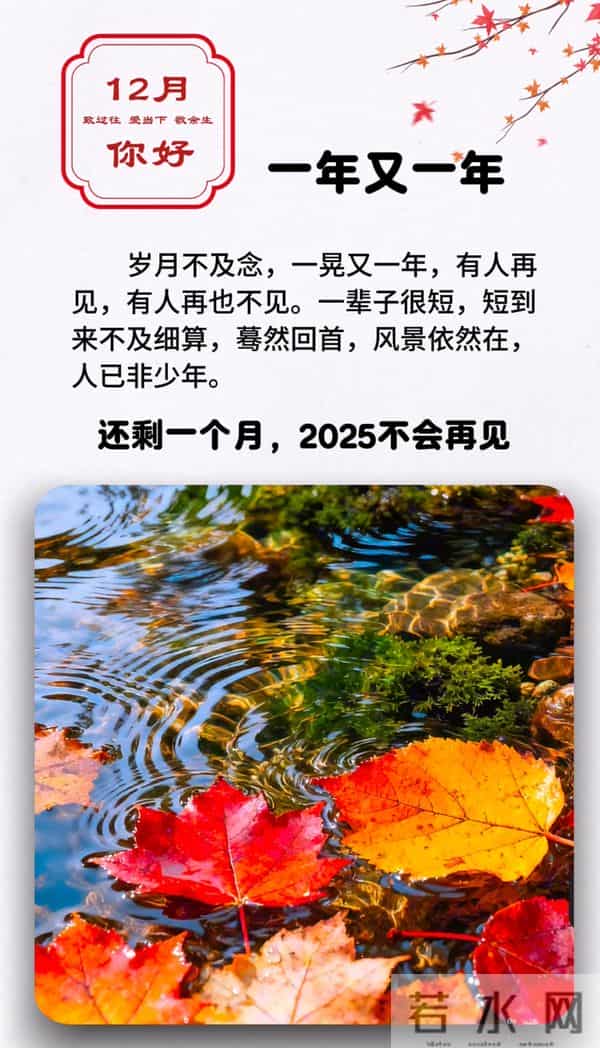 十一月再见十二月你好！