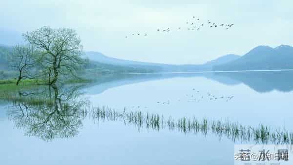 老了才懂得，人生至美是清欢