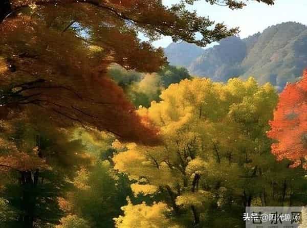 当今社会，女人最喜欢男人什么