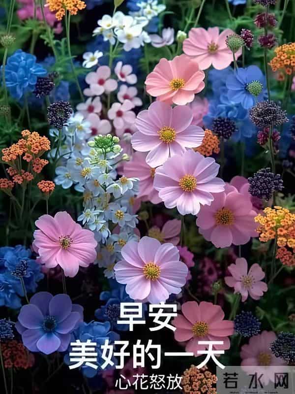 2025年11月30日，星期日，农历十月十一，早安吉祥祝福语！