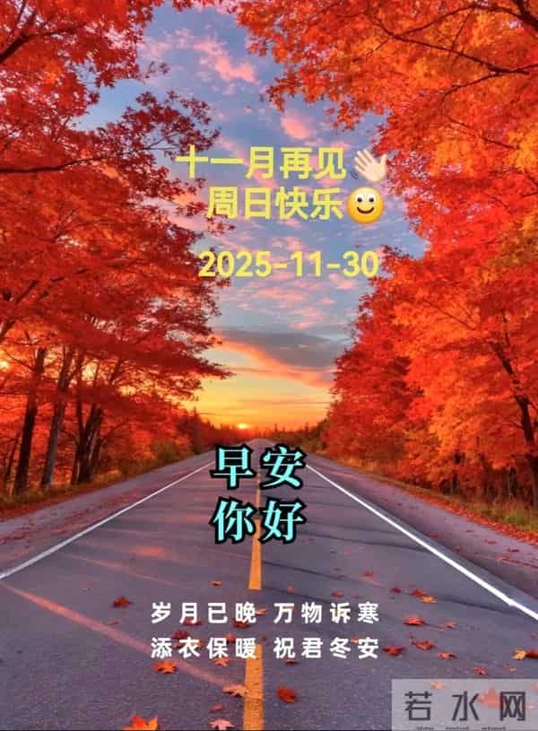 2025.11.30 冬天周日早上好！最新精美周日早安愉快温馨祝福语图片