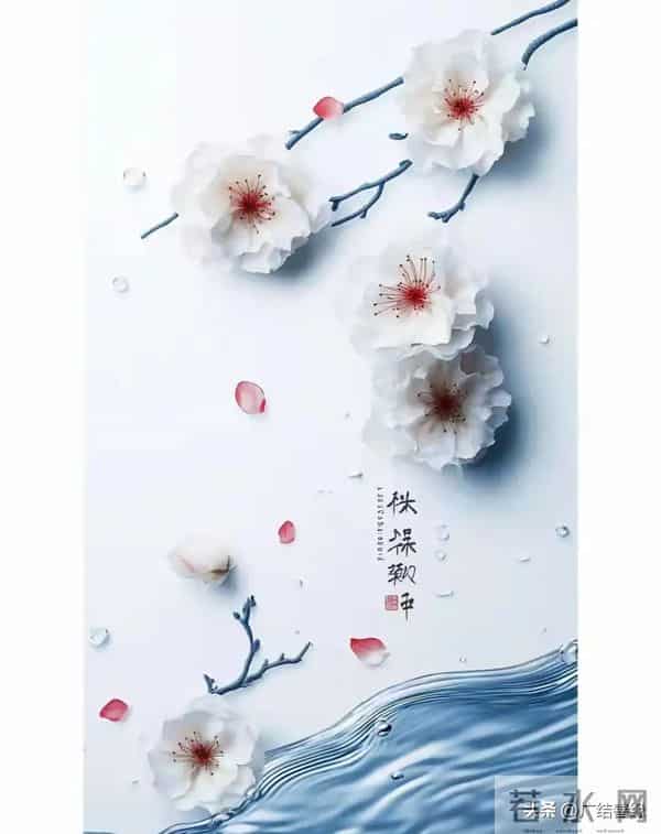 没人敢欺负你的人性铁律！（收藏不亏）