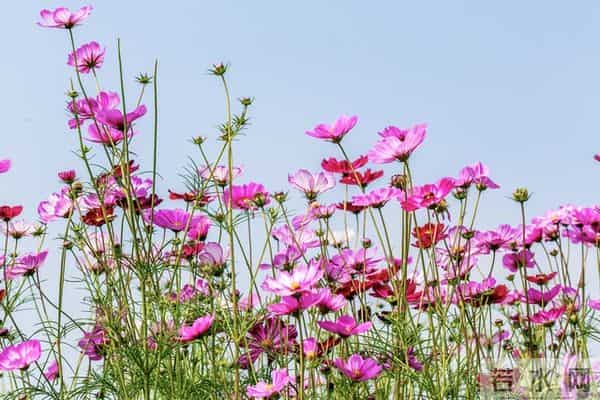 男人最放不下的，是那个冷静转身的情人。