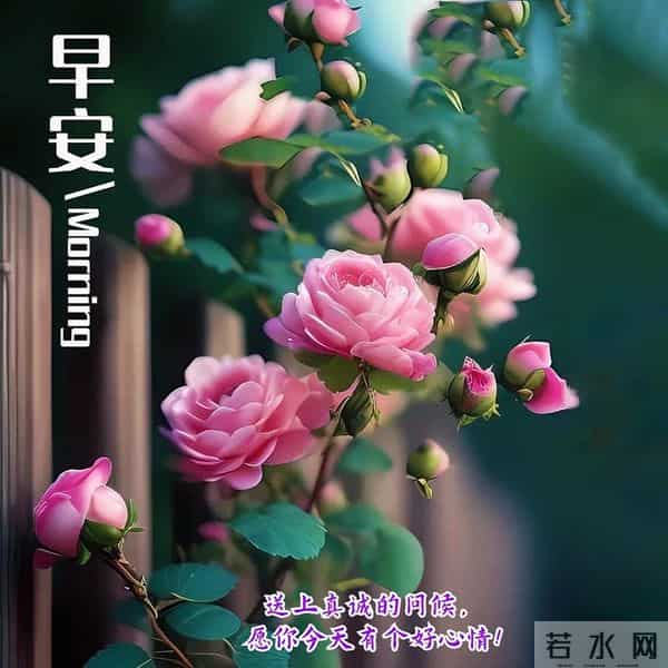 11月30日周日早上好 愿我们伴着不老的岁月 永远走在开心快乐的路上