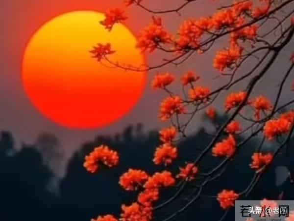 快接，老天恩赐你家孩子，好运连连，喜事满满，飞黄腾达