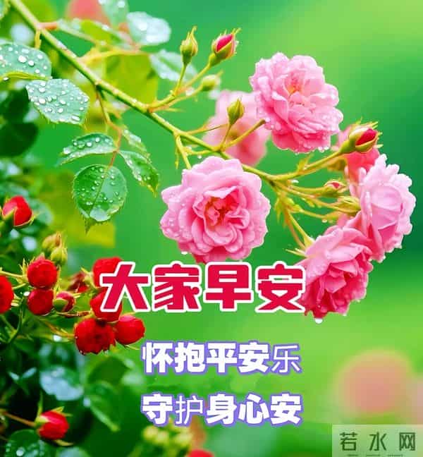 11月30日周日早上好 愿我们伴着不老的岁月 永远走在开心快乐的路上