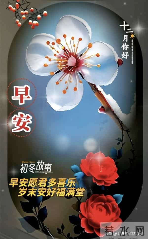 早安十二月！愿您这一年的付出，都在这最后的时光里绽放光芒！
