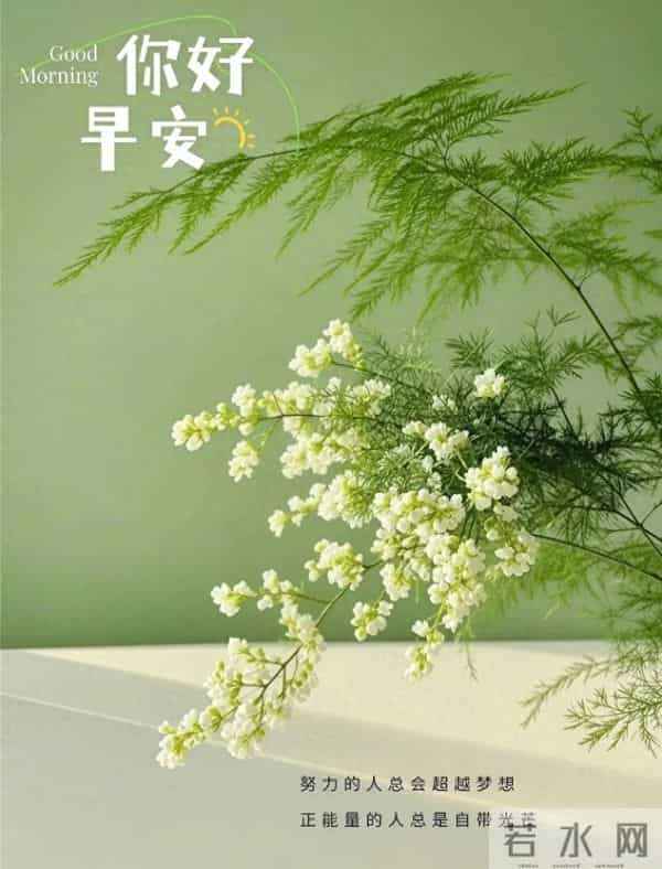晨花伴早安，绿意裹新光