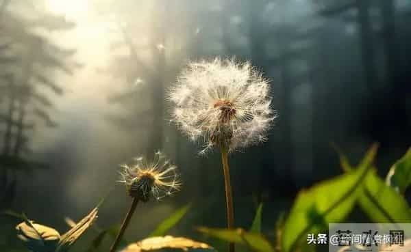 第一名：天秤座，11月29日就在这近两天，得跟你说个实在话！