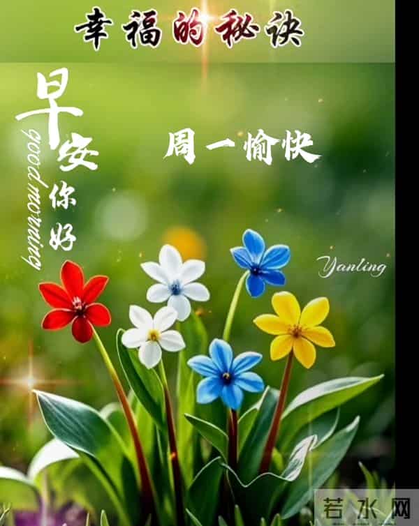 2025年12月1日早上好 早安周一愉快 早安温馨精美美图祝福语 早上好