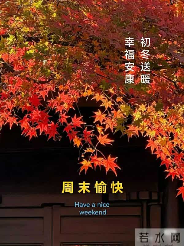 早上好早安祝福美图-浅冬生寒意，微光暖人心