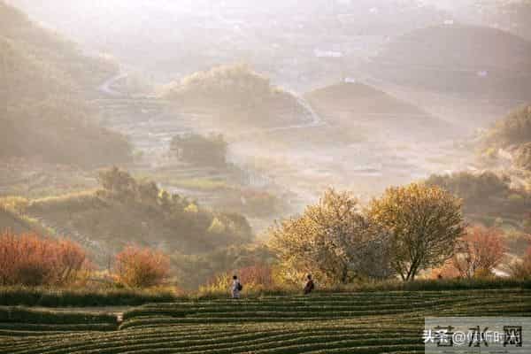 从明天起，万事皆成，对自己说：好运开启，万事顺意