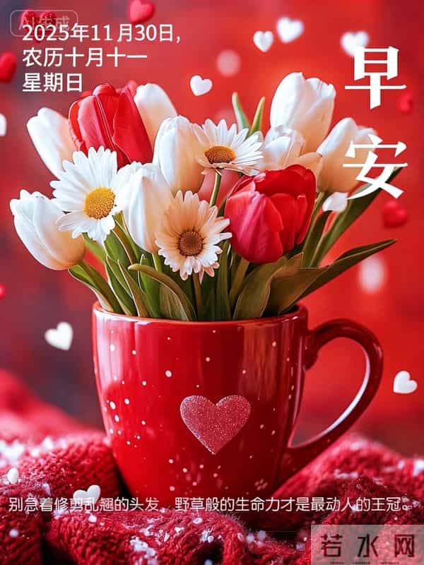 2025年11月30日周末愉快 早上好图片最新今天 温馨淡雅的早安图片